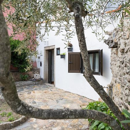 Casa Da Penha Villa Picote Bagian luar foto